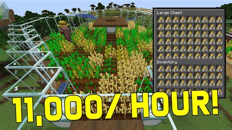 Minecraft 1 19 witch automatic farm
